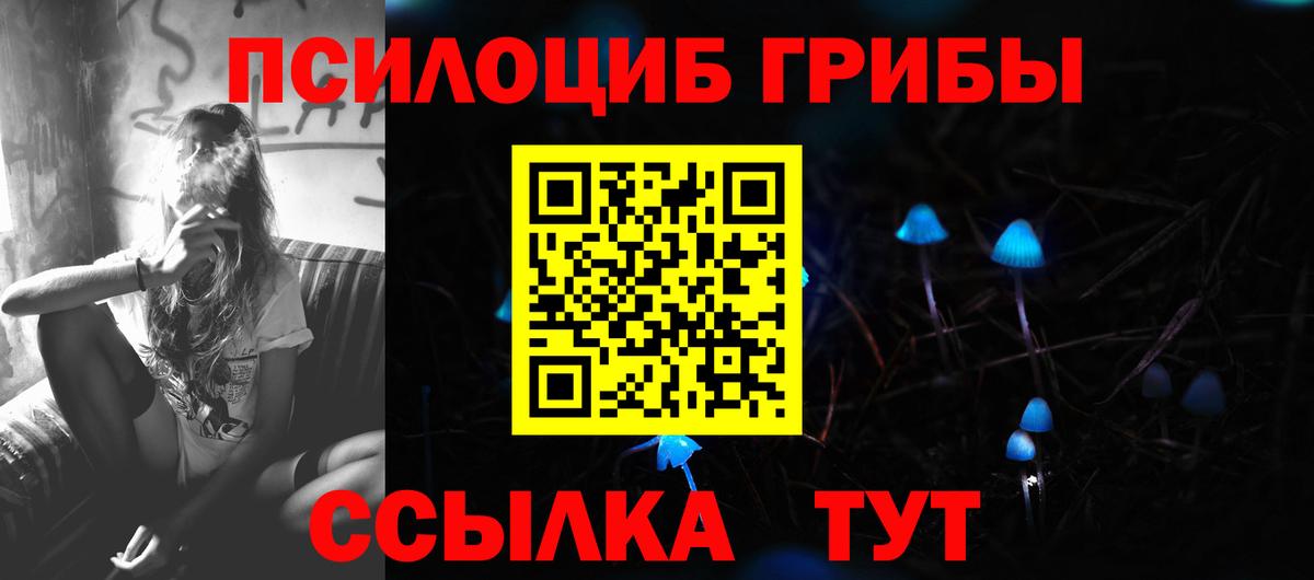Псилоцибиновые грибы прущие грибы  Вход с VPN  Советская Гавань 